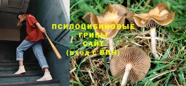 хмурый Алзамай