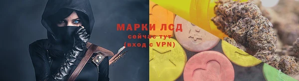 хмурый Алзамай