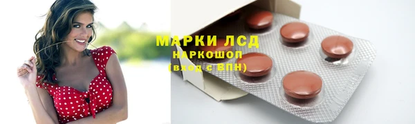 хмурый Алзамай