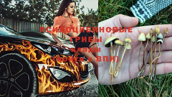 хмурый Алзамай