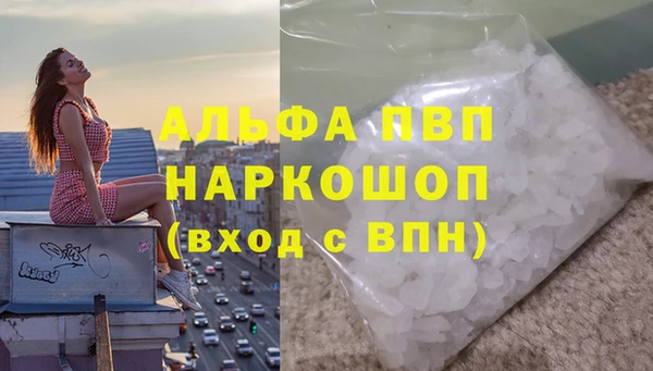 ешки Алексин