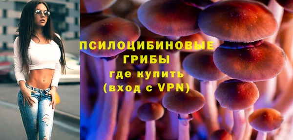 хмурый Алзамай